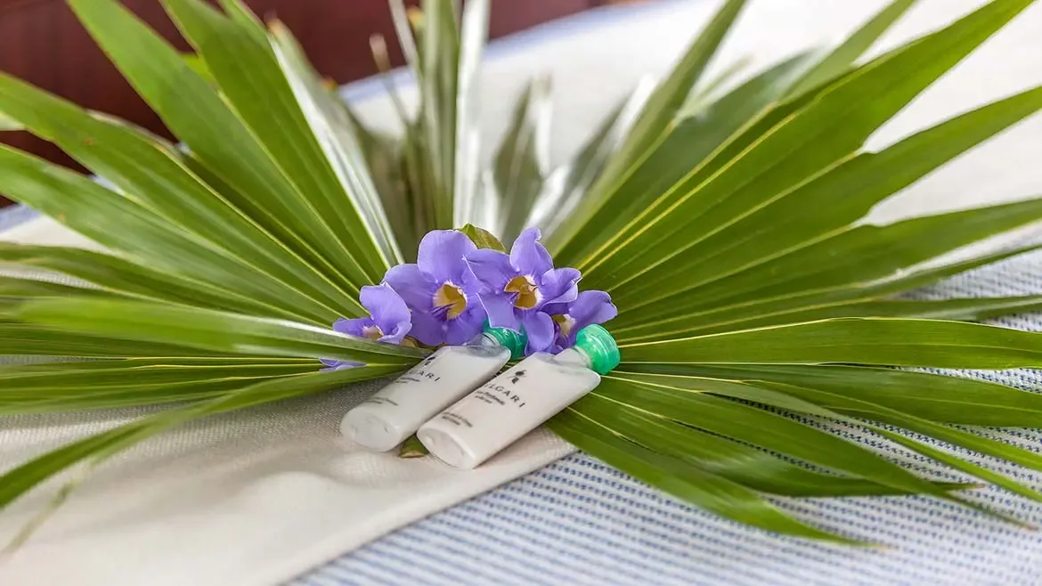 Experience pure tranquility with a refined morning tea service at Villa Santosha, where breathtaking views of Long Bay's turquoise waters provide the ultimate Caribbean backdrop.