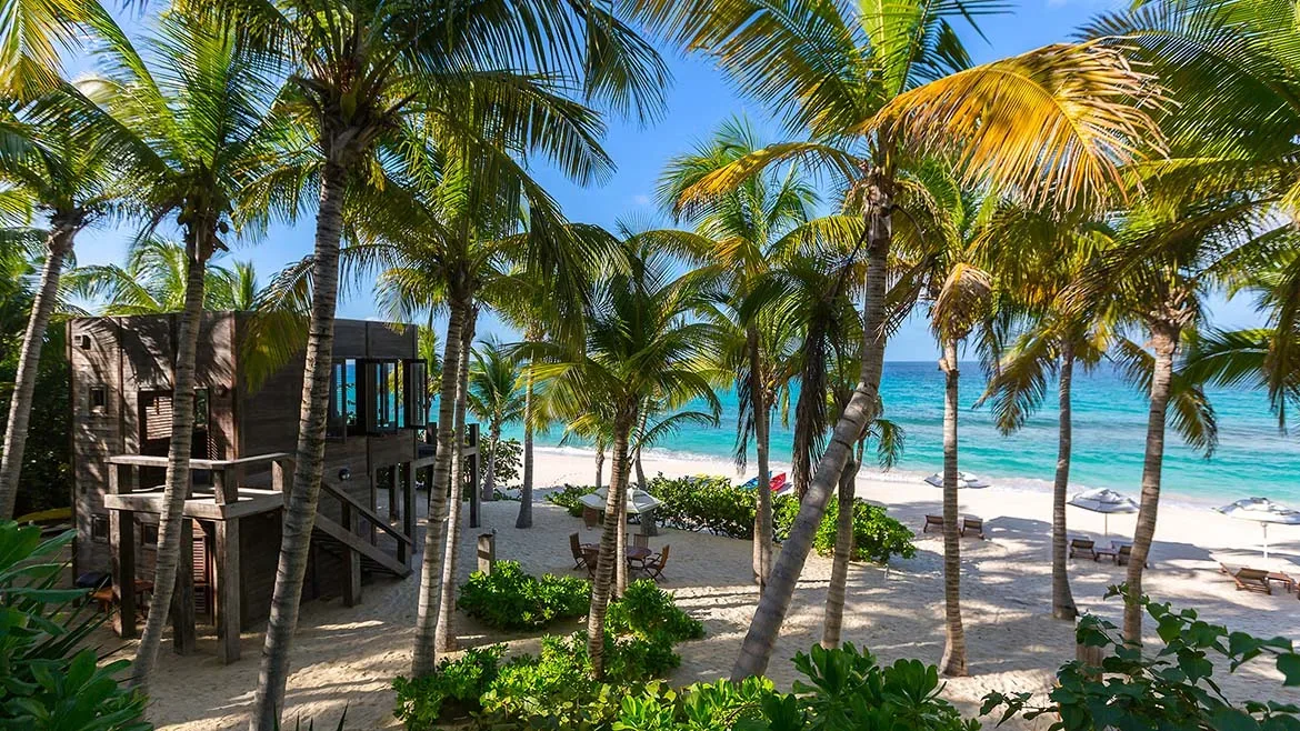 Tropical beach scene with white sand, turquoise water, and tall palm trees surrounding a wooden beach house.