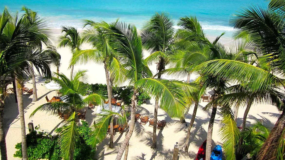 View through palm tree fronds of a white sand beach with lounge chairs and the blue Caribbean sea.