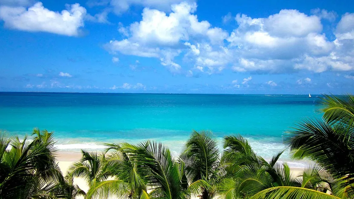 Scenic view of a white sand beach and lush green palm trees against a vibrant turquoise ocean.