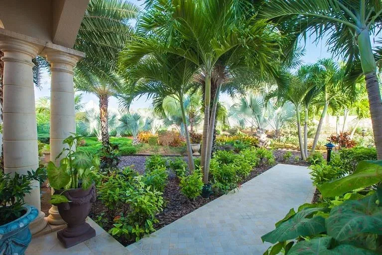 A stone pathway winding through a lush tropical garden with palm trees and green shrubbery.