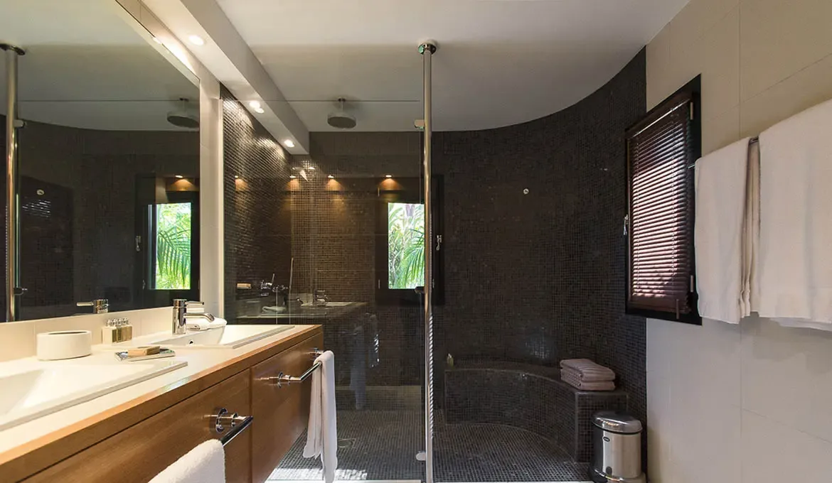 Dark mosaic tiles curve around a sunken shower under a floor-to-ceiling glass partition, while a warm wood double vanity with wall-to-wall mirror fills the opposite wall.