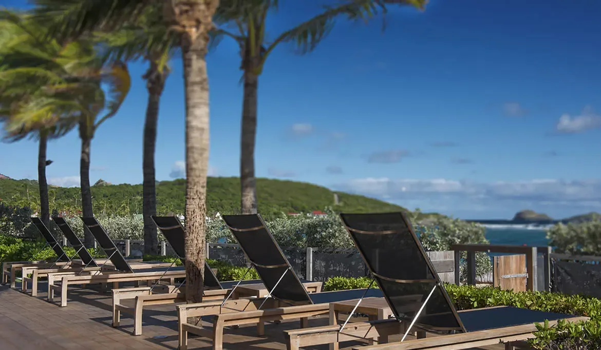 Modern mesh loungers line a wooden deck overlooking turquoise waters, where palm trees sway and a green hillside meets the horizon.