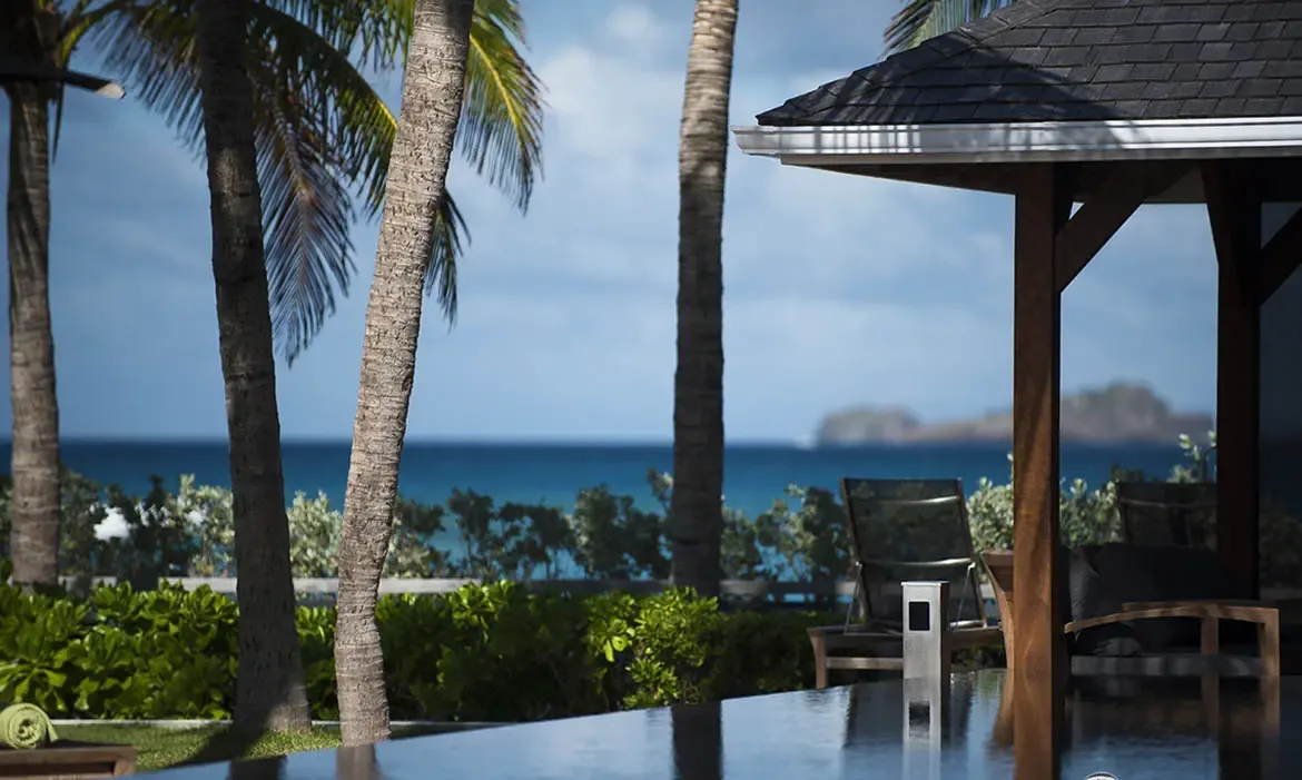 A still infinity pool mirrors the sky and surrounding palms, while a shingled gazebo sits at the water's edge and the turquoise ocean stretches to a distant island on the horizon.
