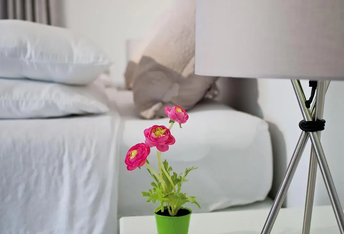 Pink ranunculus blooms in a lime-green pot sit beside white pillows and a grey tripod lamp, where soft focus and natural light create a serene minimalist detail.