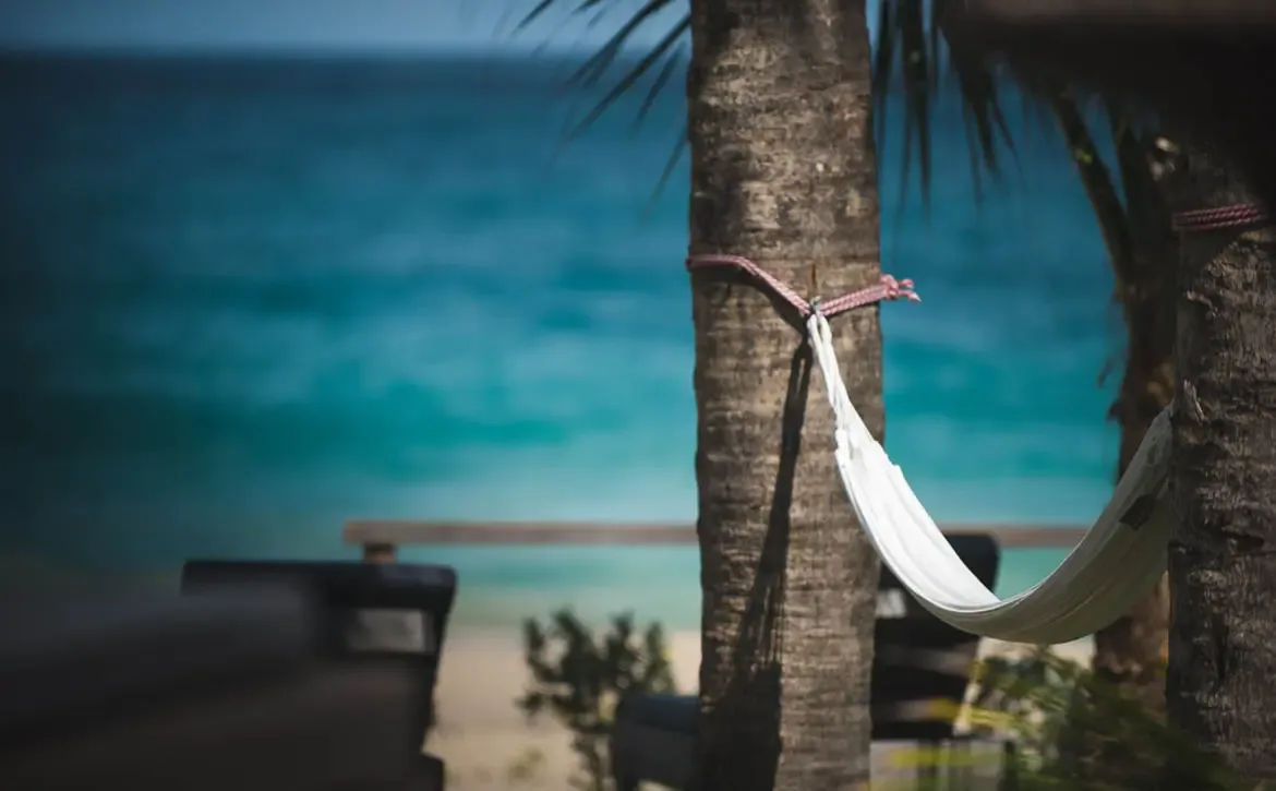 A white hammock with pink ropes hangs between two textured palm trunks, where a soft-focus view of turquoise ocean and a sandy beach invites the perfect afternoon nap.