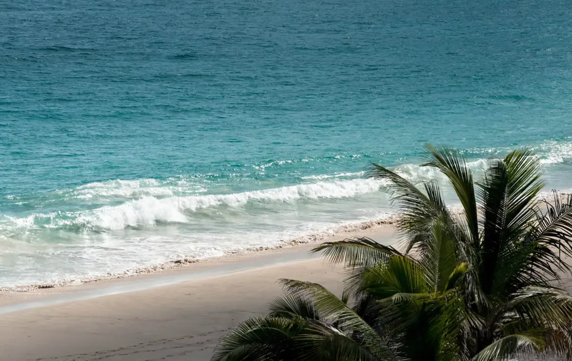 Palm fronds frame a view of gentle waves breaking on a sandy beach, where turquoise shallows deepen into teal Caribbean water under a bright sky.
