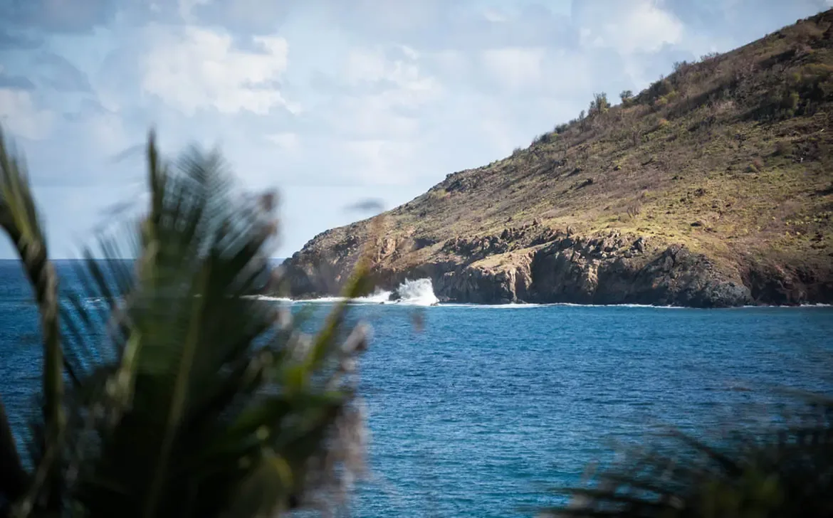Palm fronds frame a view of deep blue ocean crashing against a rocky headland, where a dry coastal hill rises under scattered white clouds.