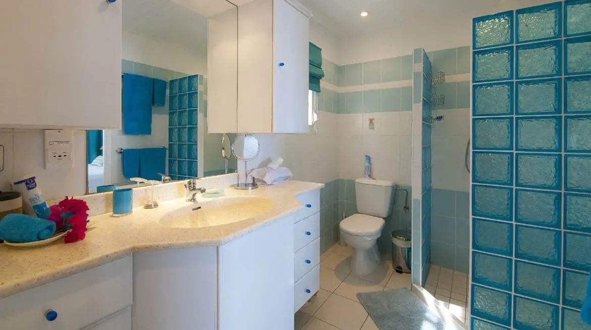 A stunning aquamarine glass block wall becomes the centerpiece of this coastal-inspired bathroom. Vibrant blue accents against crisp white create a refreshing sanctuary, while fresh bougainvillea blossoms add a tropical touch of elegance.