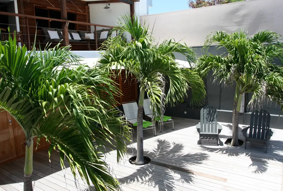A sunlit wooden deck where palm trees grow through circular cutouts beside white loungers with green towels. Two grey Adirondack chairs face a building with wooden siding and balcony—tropical design meets outdoor comfort in this bright, airy space.