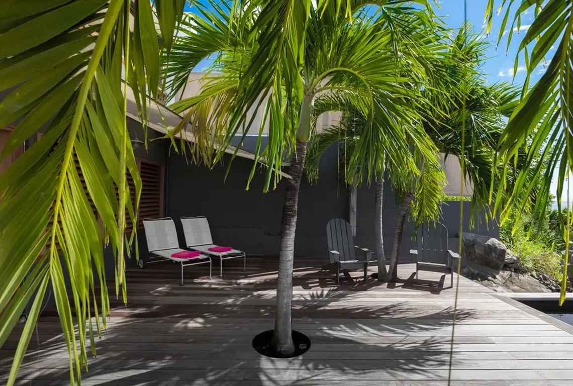 A sun-drenched wooden deck where palm trees grow through circular cutouts. Two white loungers with pink pillows face two dark gray Adirondack chairs beside a privacy wall—bright tropical greenery and blue sky complete this outdoor sanctuary.