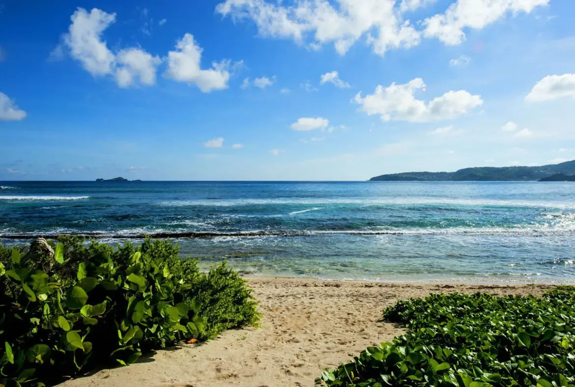 A sandy path through coastal greenery leads to a pristine turquoise bay with gentle waves breaking over reef. A hilly island sits on the horizon under a brilliant Caribbean sky.