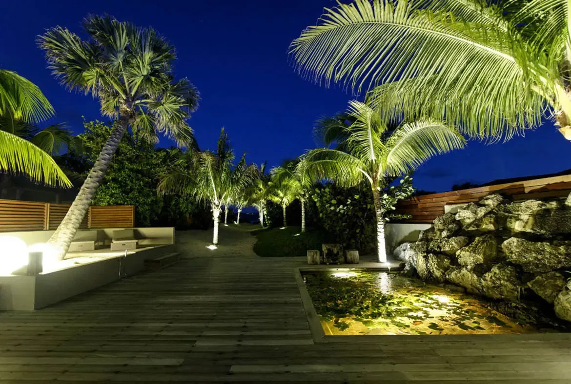 At night, warm spotlights transform this courtyard into a tropical theater, with uplit palms, a golden lily pond, and a sleek concrete lounge creating a dramatic arrival experience.