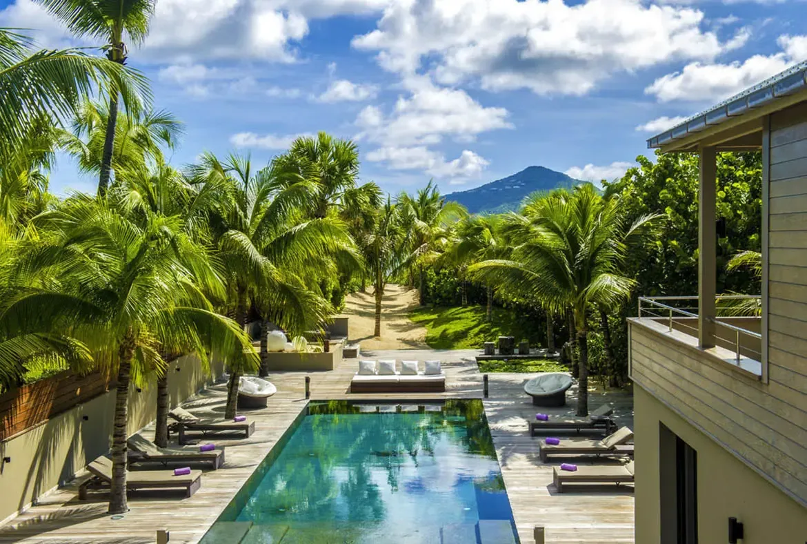 An overhead view captures the turquoise pool, purple-towel loungers, and white pod chairs arranged on a weathered deck under a dense canopy of palms. A green mountain rises in the distance.