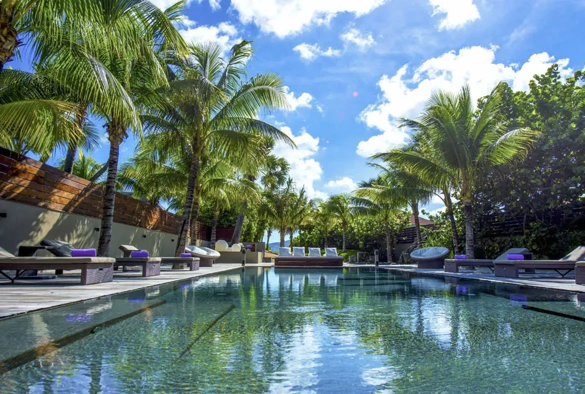 Purple-accented loungers line the sleek rectangular pool under a bright sky, with a bowl-shaped chair and white daybeds offering every possible way to enjoy the sun-drenched deck.