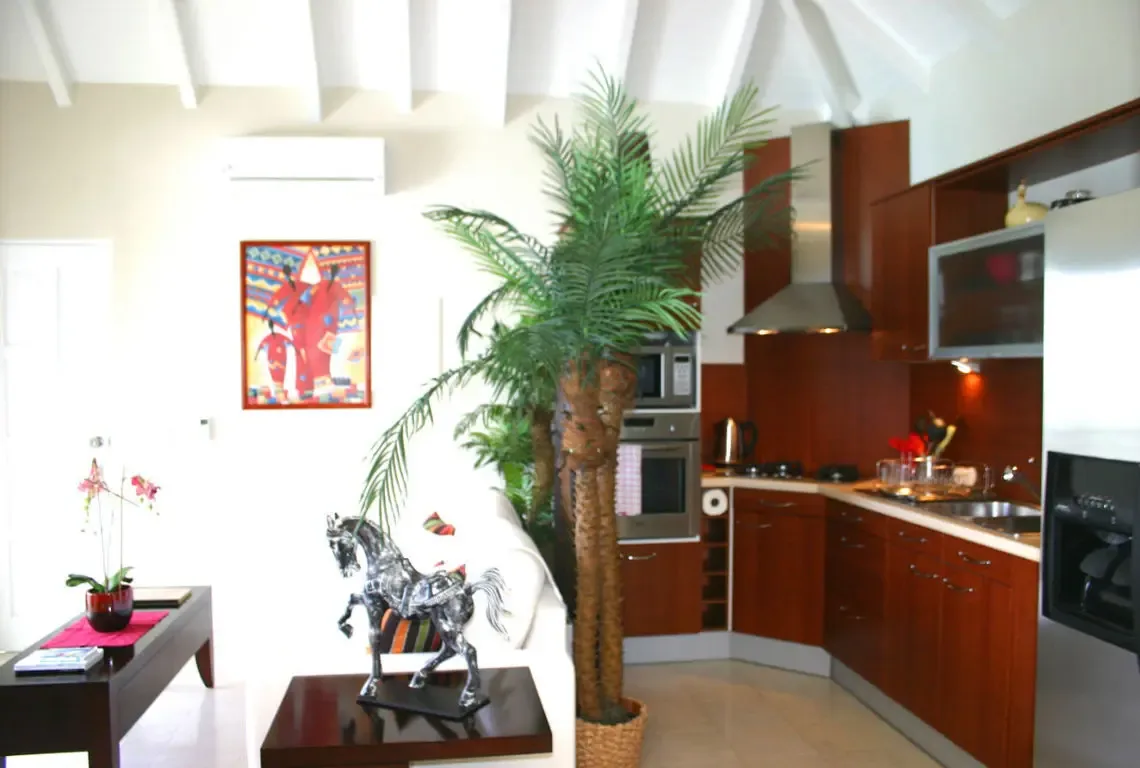 Rich dark wood cabinets pair with sleek stainless steel appliances in this fully-equipped kitchen. A red floral arrangement by the sink adds warmth, while an open layout flows to the living area with white sofa and tropical palm—cooking with Caribbean views just steps away.