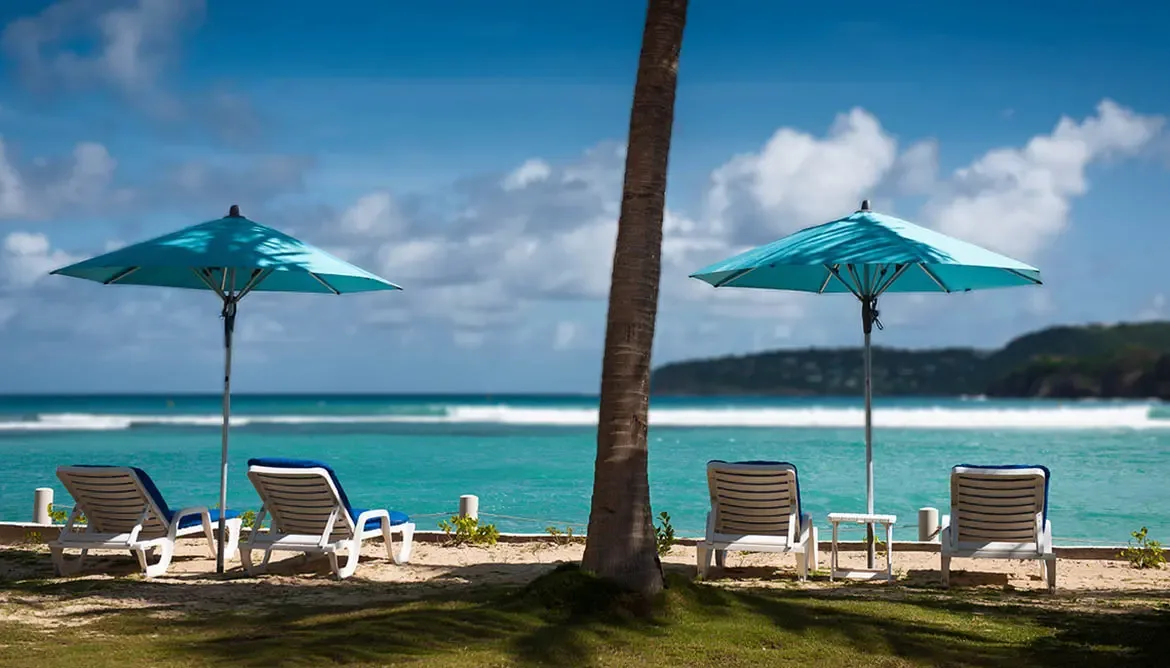 Four white lounge chairs beneath turquoise umbrellas sit near a palm tree on sandy grass, where crystal-clear turquoise water meets a white sand beach beneath a clear blue sky.