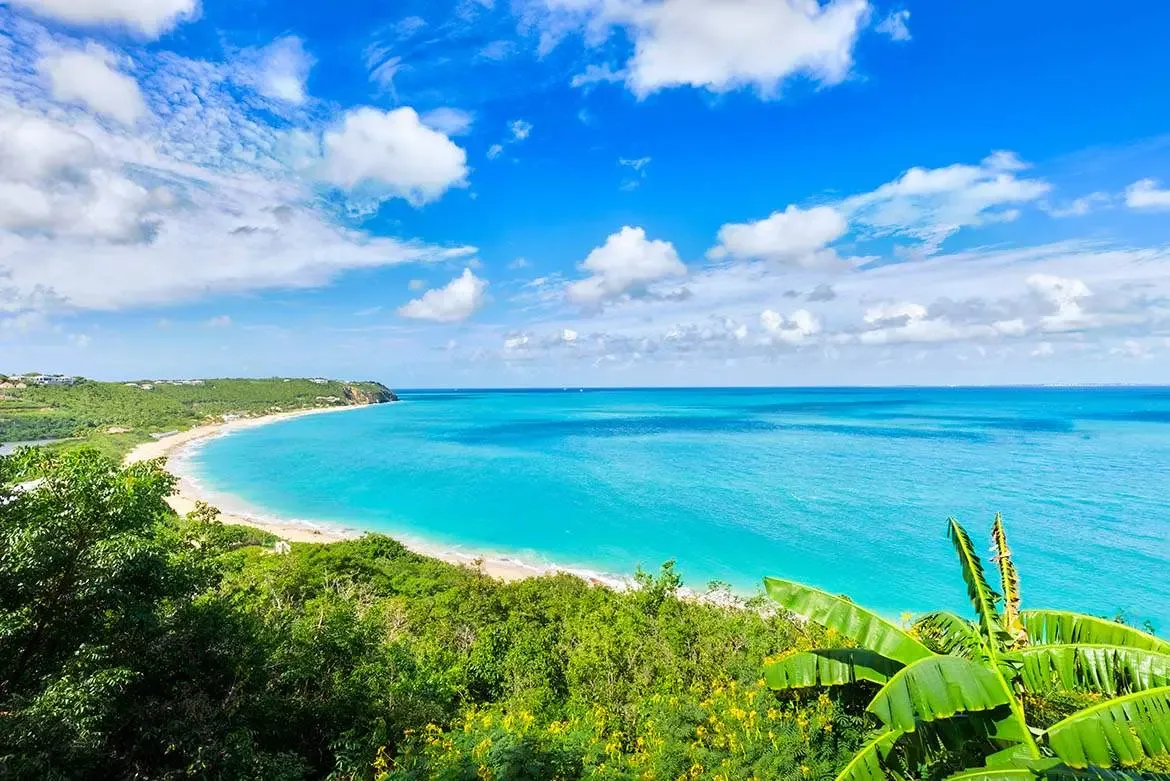 Lush palm fronds frame a sweeping coastal panorama, where a crescent beach meets turquoise water that fades to deep blue beside rolling green hills dotted with white houses.