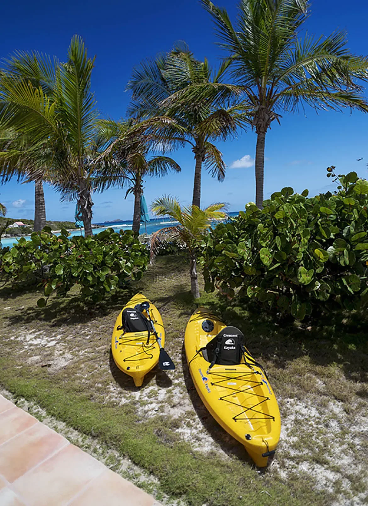 Two yellow kayaks rest on sandy grass between lush palms, where turquoise ocean and a distant island appear through the tropical greenery.