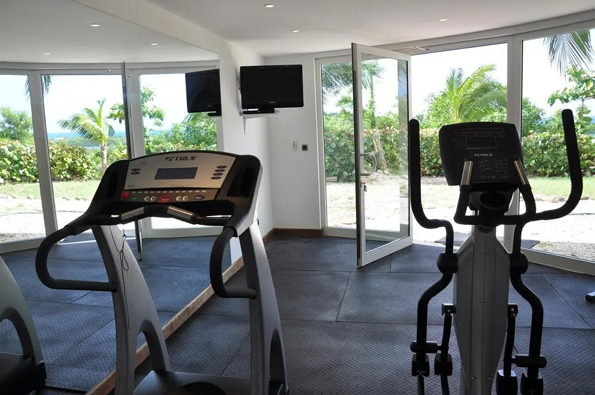 A treadmill and elliptical face floor-to-ceiling glass walls in a white gym, where tropical greenery and ocean blue fill the panoramic view beyond the open door.
