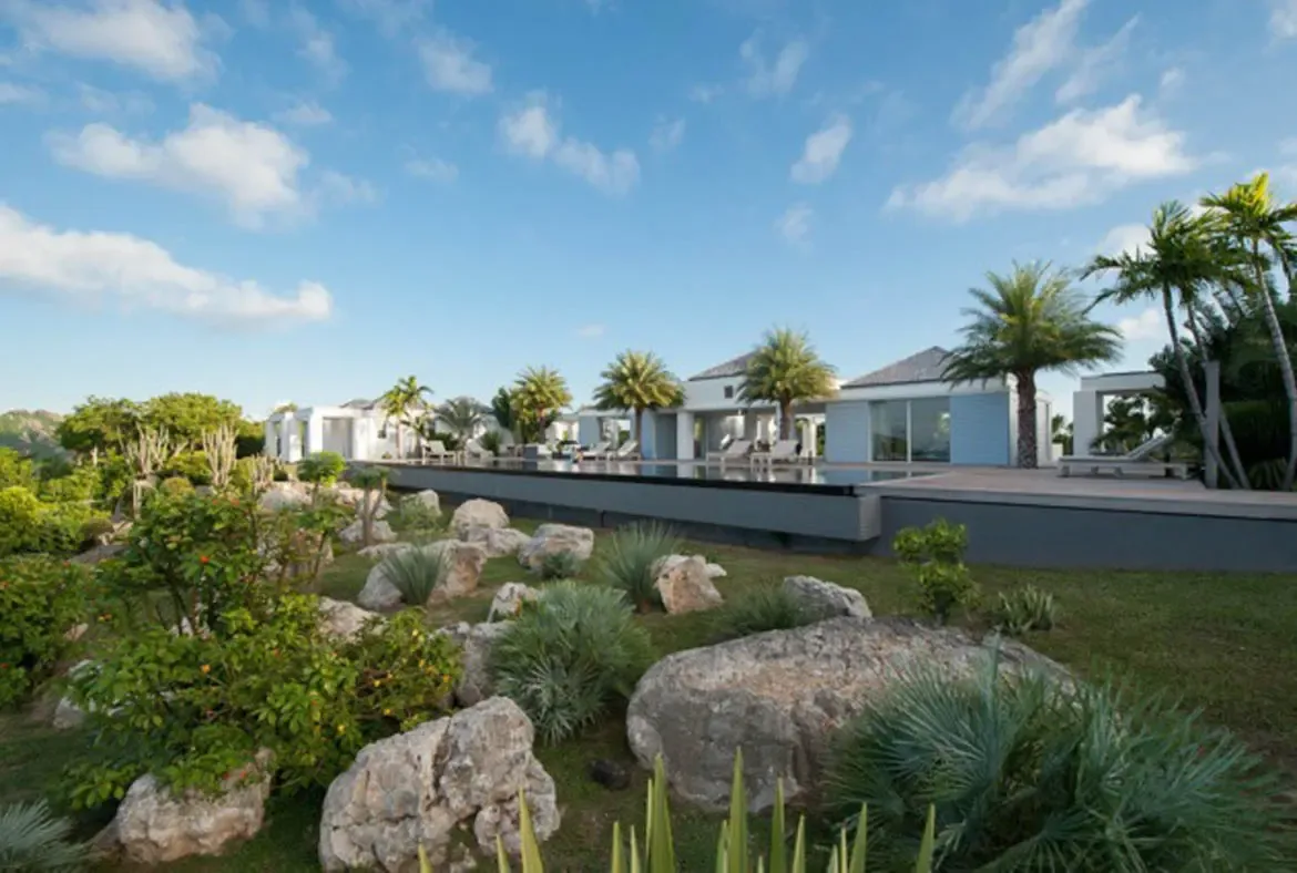 A sleek contemporary villa with white walls and glass doors stands above a dark-edged infinity pool framed by natural boulders, succulent gardens, and flowering tropical plants. Tall palms sway against a brilliant blue sky with scattered clouds—modern architecture embraced by lush nature.