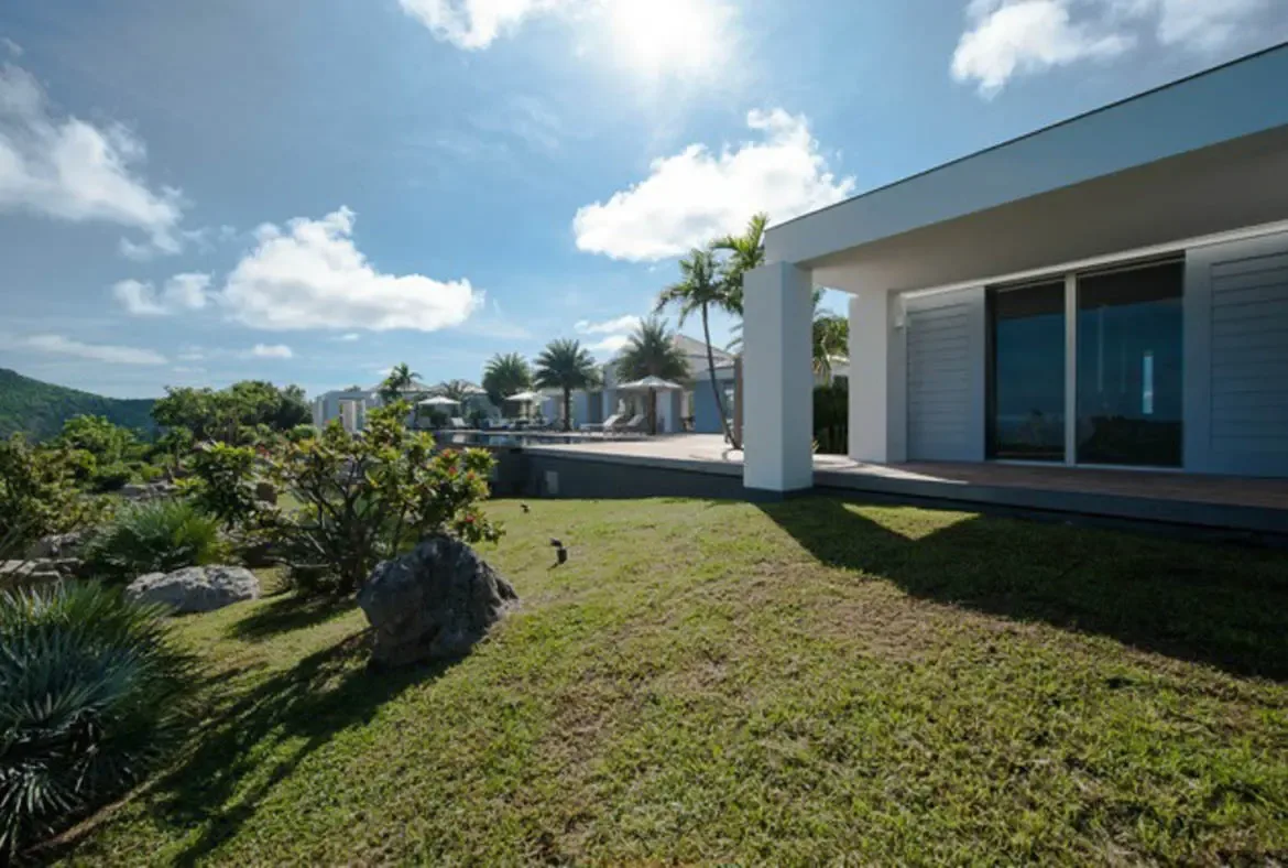 A sleek white contemporary villa with floor-to-ceiling glass doors stands above a manicured lawn dotted with agave and natural rocks. Beyond the garden, lounge chairs and white umbrellas line the pool while palm trees sway against a bright blue sky—modern architecture embraced by tropical nature.