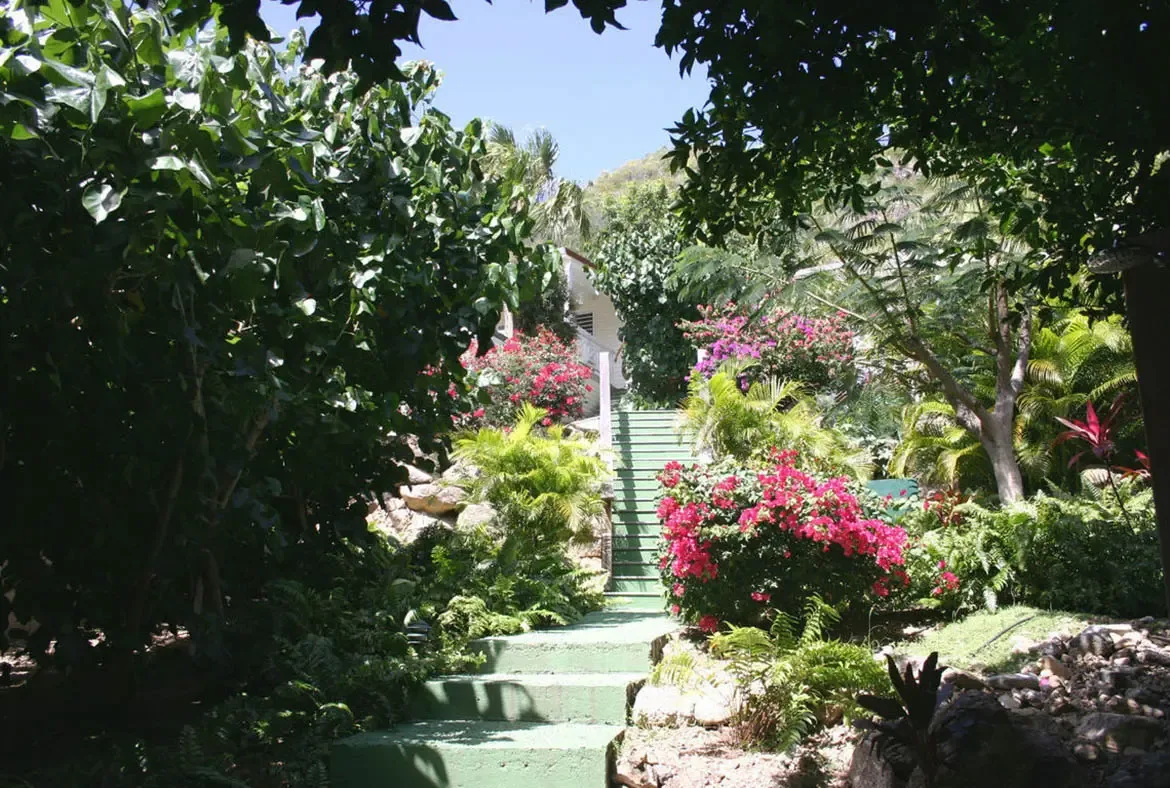 Green concrete steps ascend through a lush tropical garden where vibrant pink and purple bougainvillea bloom on either side. Broad tropical leaves create a natural canopy overhead while a white villa peeks through the greenery—a pathway to paradise.