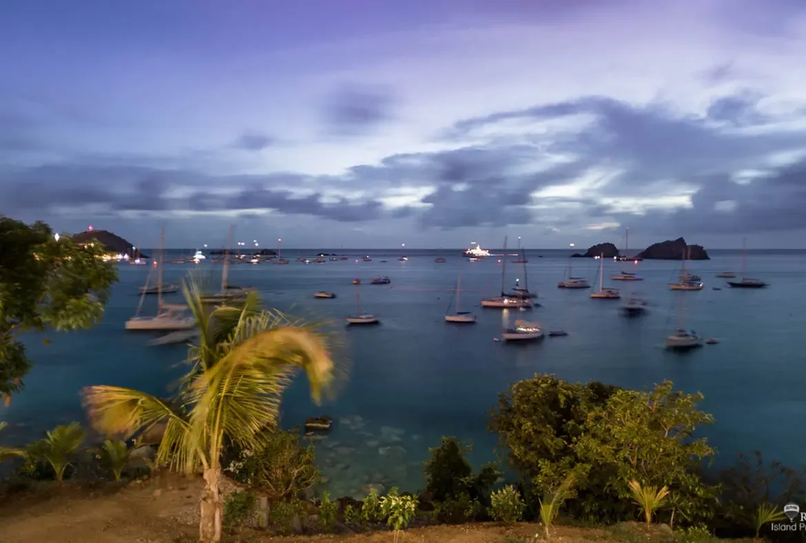 A swaying palm frond frames a twilight harbor where sailboats and yachts glow with warm lights against the deepening blue sky. A dirt path winds down through lush tropical greenery to the shore—dusk falls gently over Gouverneur Bay.