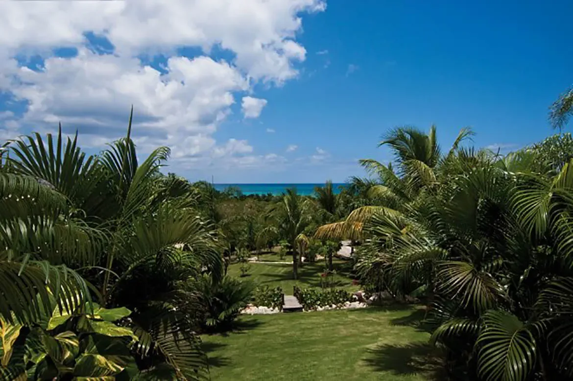 Lush palm fronds frame a green lawn sloping toward a turquoise ocean, where a wooden bridge crosses a garden path beneath a brilliant blue sky with white clouds.