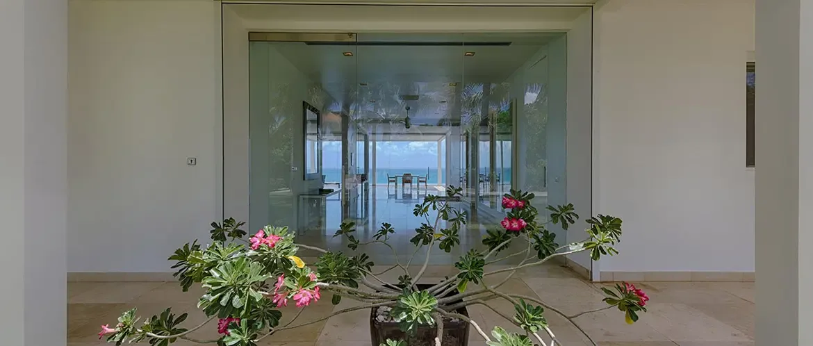 A desert rose in a dark planter stands before floor-to-ceiling glass doors, where the view passes through a white hallway to a terrace and turquoise ocean beyond.