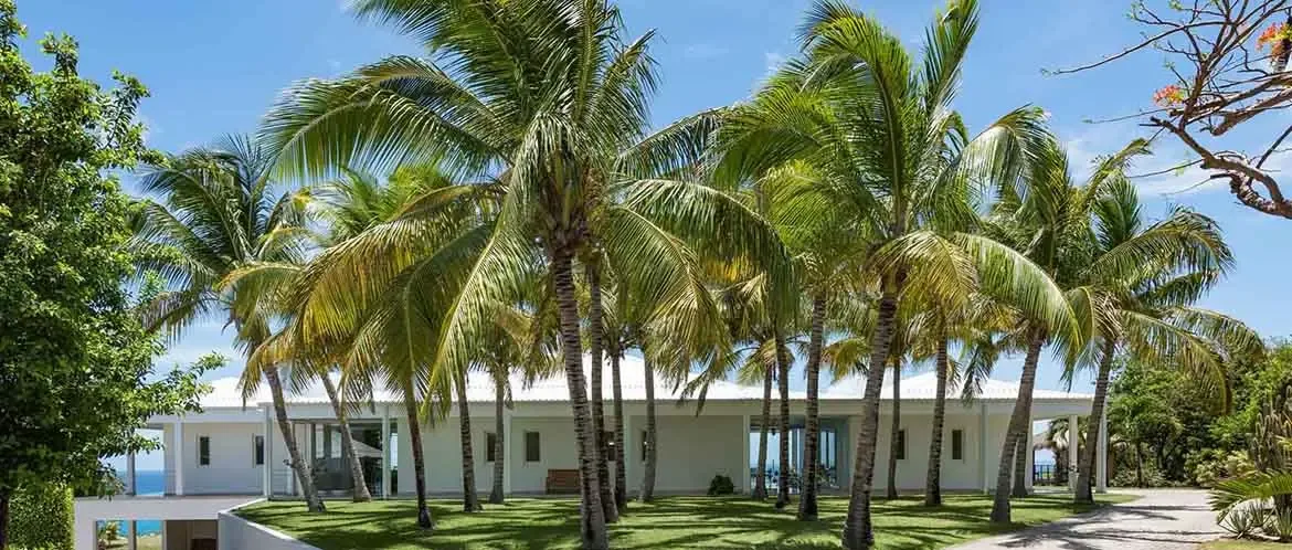 A sleek white villa with a flat roof and glass doors nestles among tall coconut palms on a manicured lawn, where orange blossoms and a gravel drive frame the ocean beyond.