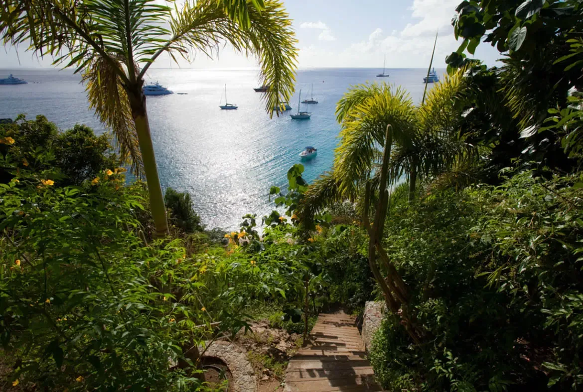 A wooden staircase descends through lush tropical foliage and yellow flowers, where palm fronds frame a sparkling turquoise bay with white motorboats and sailboats anchored beneath a bright sky.
