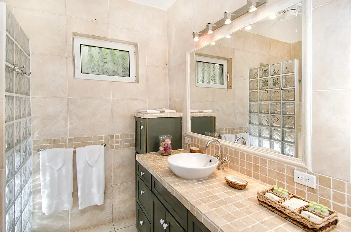 Spa-inspired bathroom with glass block shower wall and sleek modern finishes.