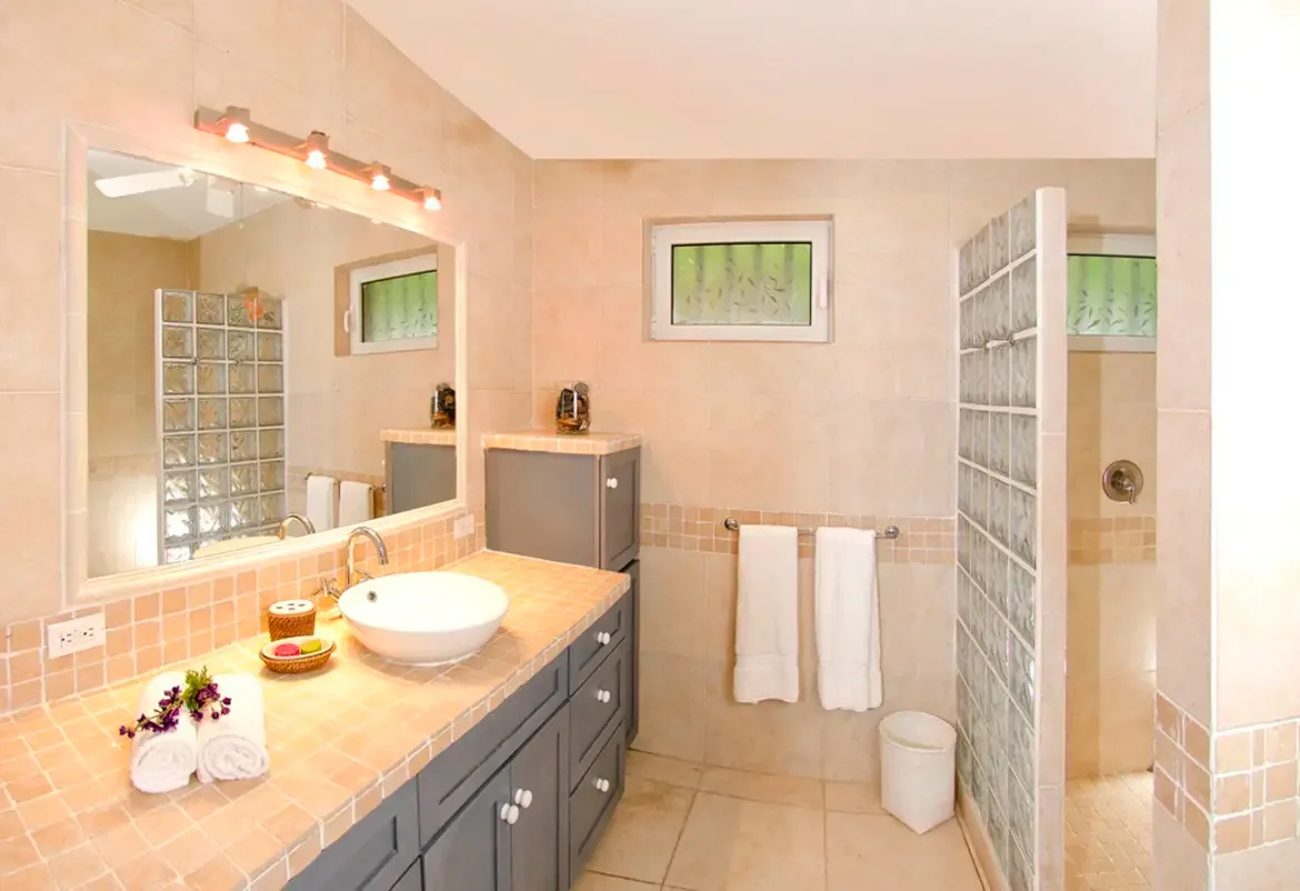 Contemporary bathroom design with vessel sink, vanity mirror, and frosted natural light.