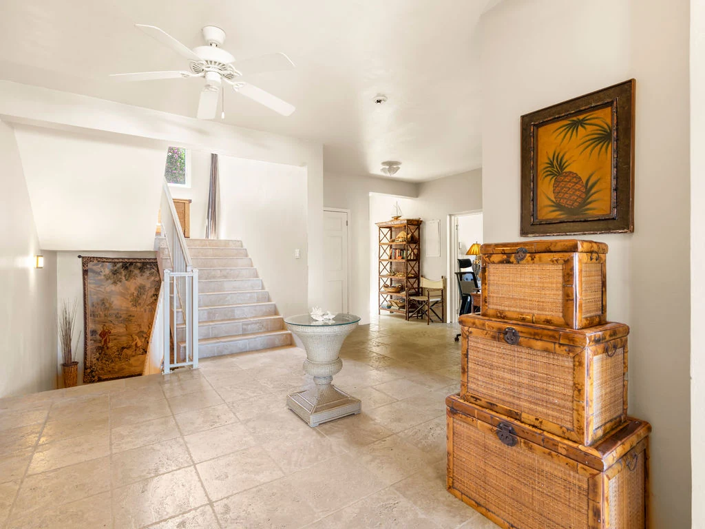 Entrance foyer and hallways