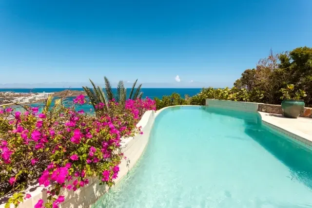 The signature infinity-edge pool framed by vibrant pink bougainvillea flowers, with turquoise waters blending seamlessly into the Caribbean Sea beyond. This iconic shot captures the essence of Villa Bougainvillea—where lush tropical beauty meets endless ocean vistas.                                                                                                                                                                                                                                            +
 