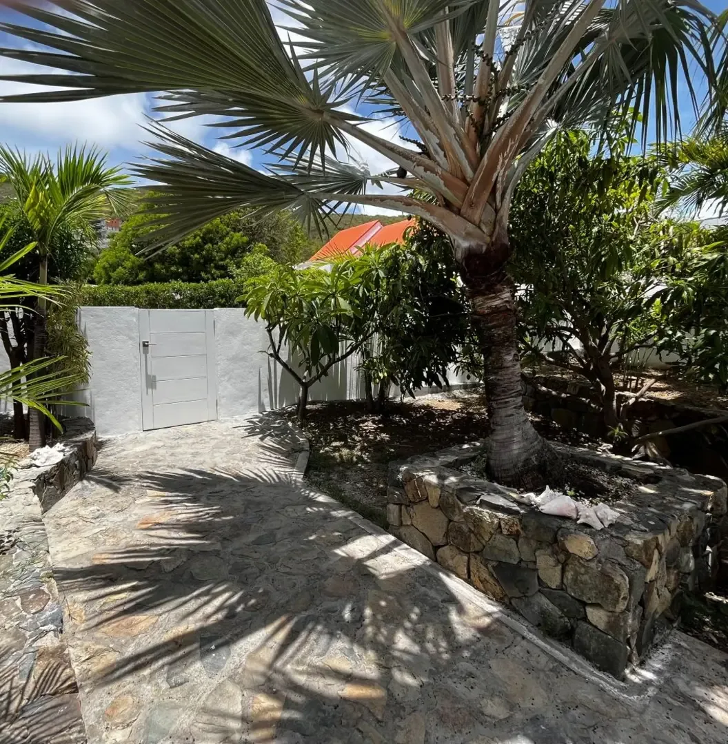 A stone pathway winds through palm fronds — your tropical escape begins here.                                                                                                                                                                                                                                                                                                                                                                                                                                                    +
 