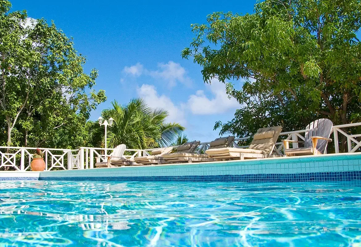 Pool with lounge chairs under blue sky — white railing and palm trees create the perfect tropical day.
