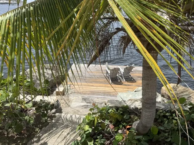 Private waterfront dock with Adirondack chairs shaded by a palm tree.