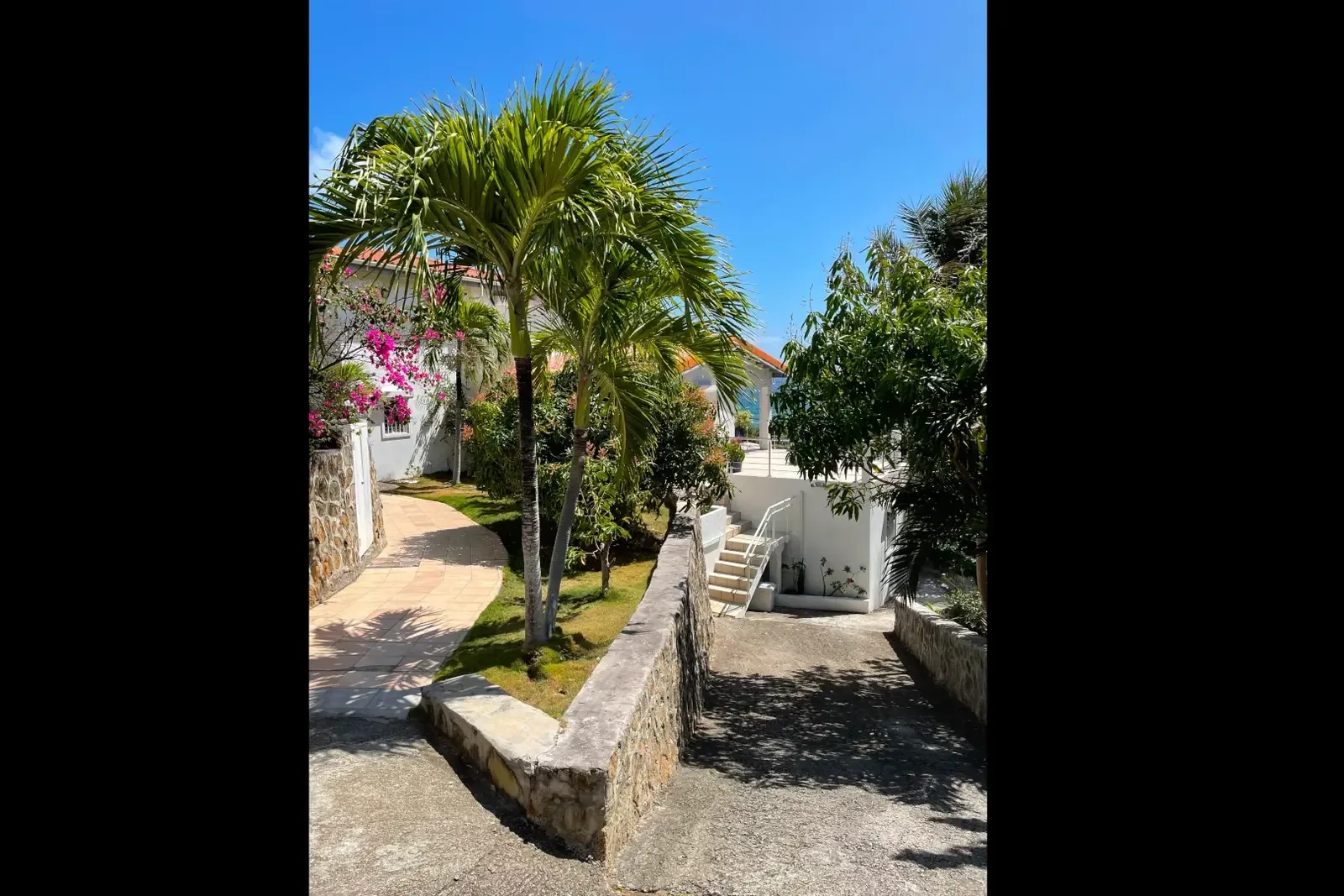 A stone path through palm gardens — your arrival in paradise.