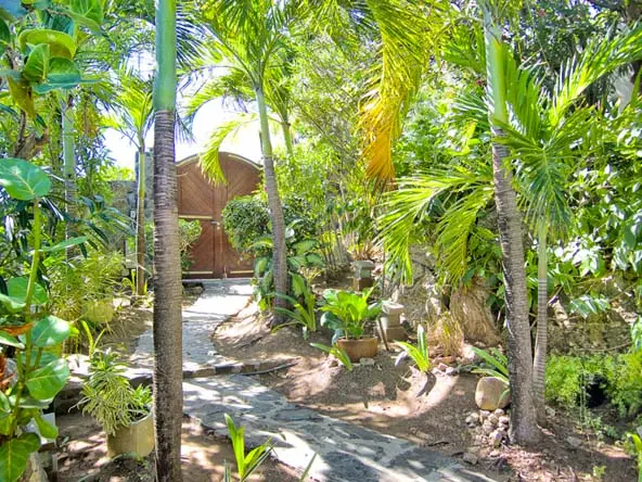 Wander a stone path through palms and tropical blooms — the villa's gardens invite exploration.