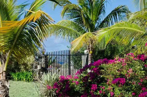 Tropical gated entrance creating a private arrival experience with lush island landscaping.