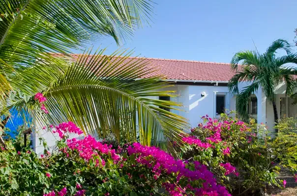 Tropical villa exterior framed by lush landscaping and bright island color.