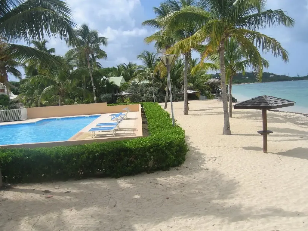 Ski Beach photo 09