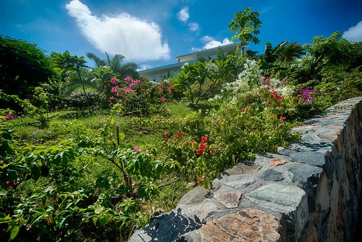 A lush landscaped tropical garden featuring stone masonry walls, blooming bougainvillea in multiple colors, and various palm trees against modern white building.