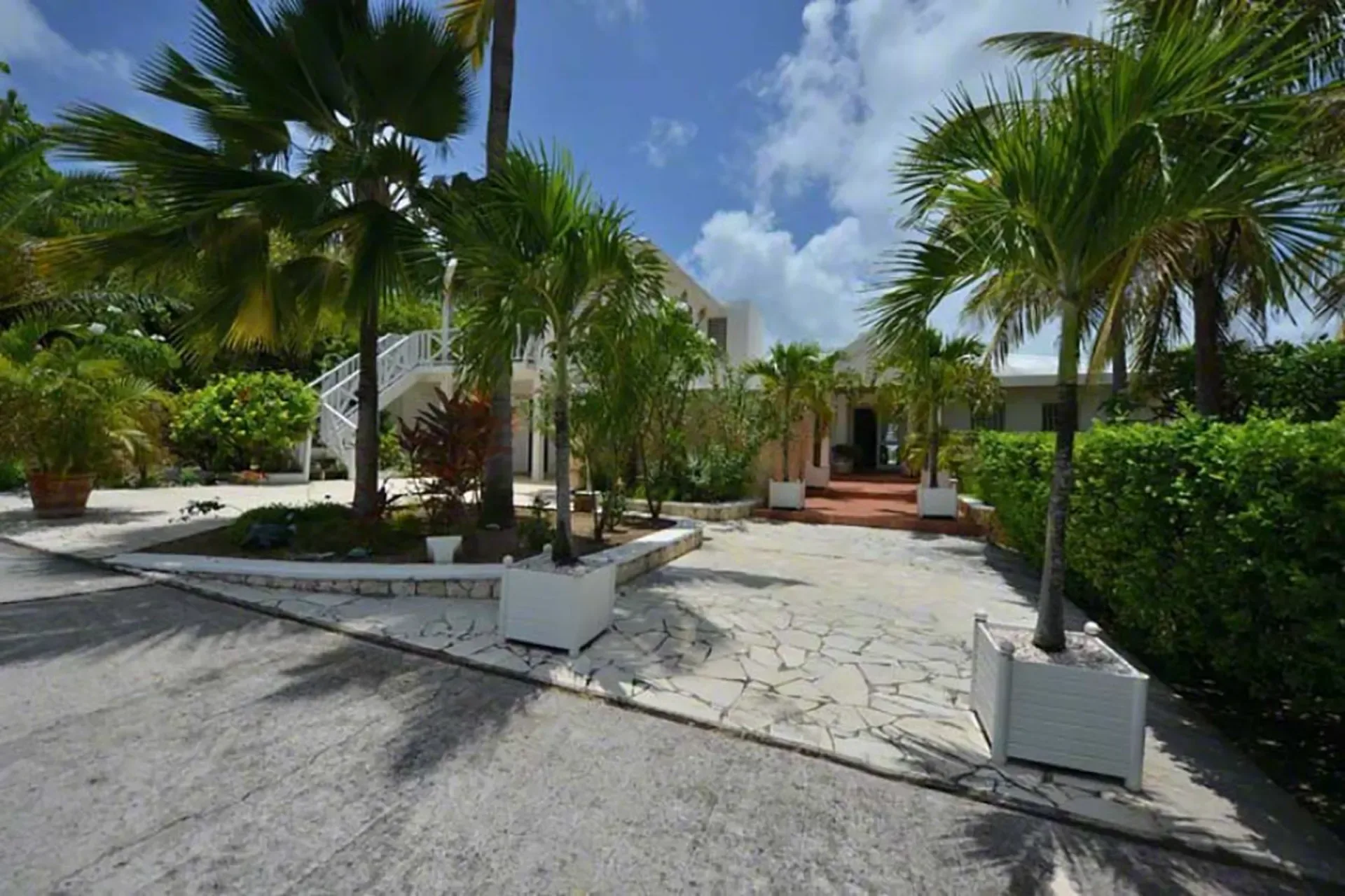 A grand entrance with lush palm trees, white planters, and stone walkways.