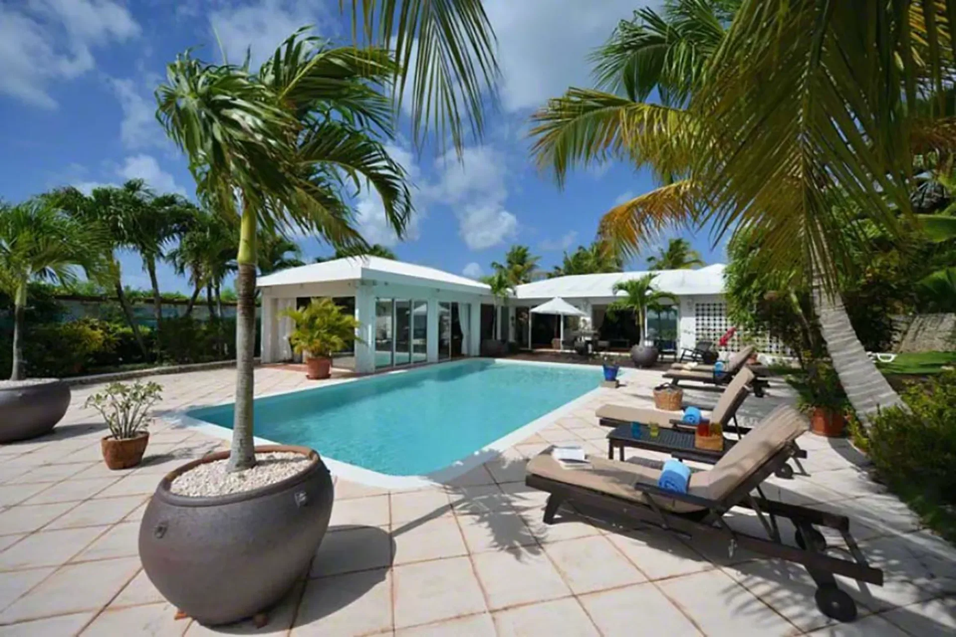 Sunbathe on comfortable loungers surrounded by tropical palms and white tiled terrace.